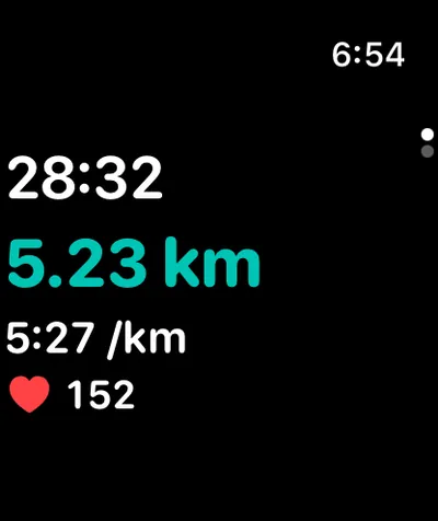 Flux Run Apple Watch: during a run