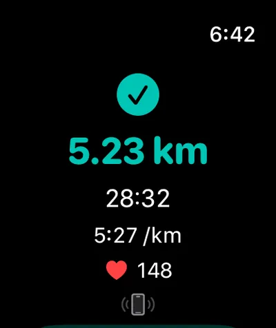 Flux Run Apple Watch: run summary